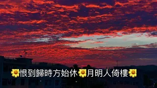 我沒有騙你 鄧麗君（ Teresa Teng）