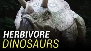 The Herbivores: Plant-Eating Dinosaurs