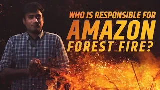 Who is Responsible for Amazon Forest Fire? | Tamil | LMES