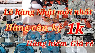 Hàng Nhật mới nhất hôm nay: Nồi áp suất Đức, tai nghe sony Japan, xô đá, quạt tích kô chổi than