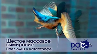 Шестое массовое вымирание - Фильм 1.Прелюдия к катастрофе - Документальный фильм