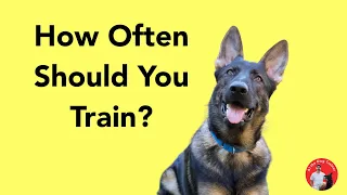 How Often Should You Train?