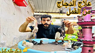 بنأ محمية ارام 🥰تحدي صيد السمك 🐟