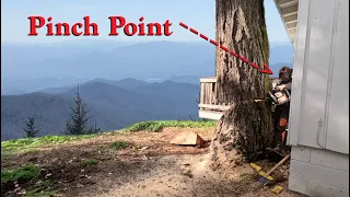 Toppling Giant Tree off Cliff