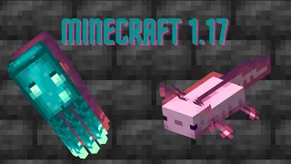 Minecraft 1 17! Everything You Need to Know! (Blocks, Items, Features, etc.)