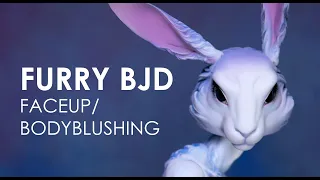 Furry doll BJD body blushing and face up