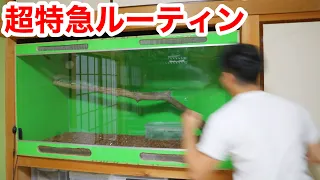 １００匹以上の生き物を飼育する男の寝坊した朝のルーティン