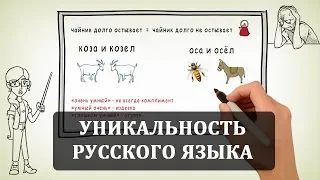 Русский язык. Факты про русский язык. Уникальный и лучший язык в мире