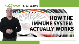 How the Immune System Actually Works | A Different Perspective | Episode 135