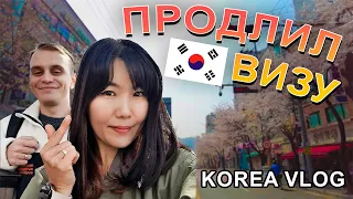 Ужасы Корейской Семейной Жизни | Продлил Визу в Корею | Цветение Вишни | КОРЕЯ ВЛОГ