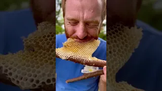 Fresh honeycomb on a stick courtesy of the Bees my madu alami😂
