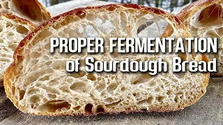 PROPER FERMENTATION of Sourdough Bread. | by JoyRide Coffee