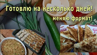 Экономлю! Готовлю на несколько дней! Меняю формат!