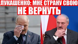 Лукашенко отдал любимую | Песня, которая заставит вас улыбнуться | Протесты в Беларуси