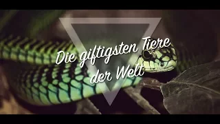 6 RIESIGE MONSTER AUF KAMERA FESTGEHALTEN! (GERMAN/ENGLISH)