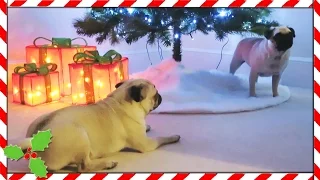 CHRISTMAS TREE FIGHT!! | Vlogmas