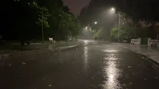 Мгновенный сон с сильным дождем, грозой и звуками грома, перекрывающими дождь в парке   Ночной лес