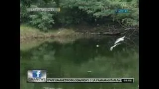 24 Oras: Mahigit 82 species ng ibon at 9 na species ng mangroves, matatagpuan sa Freedom Island