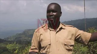 SAFARI IN UGANDA: Climbing Mount Elgon