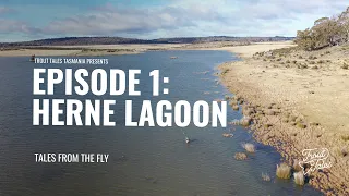 Fly Fishing At Herne Lagoon in Tasmania - Tales From The Fly: Episode 1