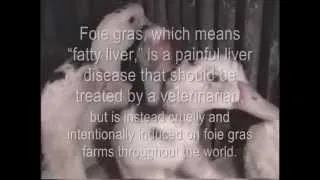 *La verdad del Foie Gras*