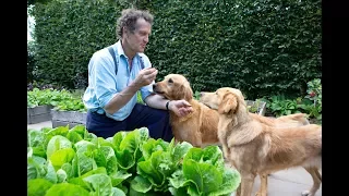 Monty Don on Nigel, Nell and other four-legged friends