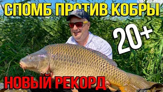 Рекордный карп. Рыбалка летом. Карпфишинг.