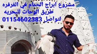 شوف انجح مشروع في مصر باقل تكلفه مع م/محمد والي مشروع الفرفره الوحات البحريه لتواصل  01154602383