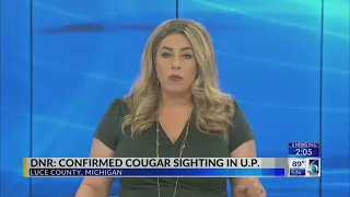 State DNR Confirms Cougar Sighting in U.P.