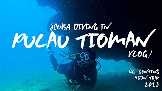 SCUBA DIVING AT PULAU TIOMAN | AOW at Bayu Dive Center, Kg. Genting!