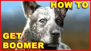 Far Cry 5: How to Get Boomer (The Dog)