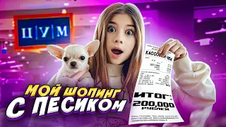 Я потратила на собаку 200 тысяч рублей!?ШОК!