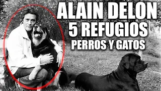 ALAIN DELON con 83 AÑOS y 5 REFUGIOS !! ((INCREIBLE HISTORIA))