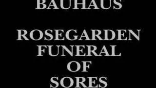 Bauhaus ~ Rosegarden Funeral of Sores