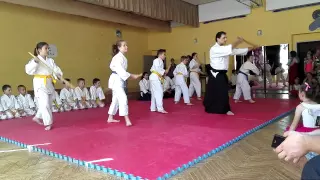 Honkadori Aikido Dojo Trencin