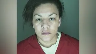 Woman Accused of Taking Baby Claimed Pregnancy