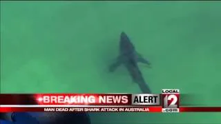 Shark kills man in Australia