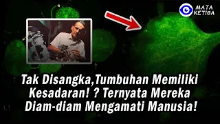 Tak Disangka, Tumbuhan juga Memiliki Kesadaran! ? Ternyata Mereka Diam-diam Mengamati Manusia!