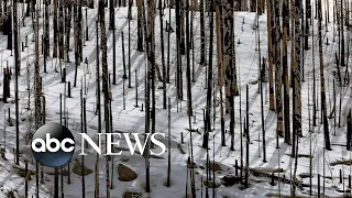 Yosemite National Park to partially reopen a month after historic storms