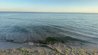 ✔️Коблево Видео: Закат на море. Онлайн обзор 08 июля 2020