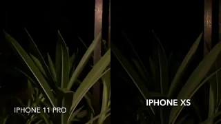 iPhone 11 PRO vs iPhone Xs 4k video