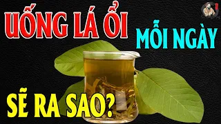 Về Già, UỐNG LÁ ỔI Kiểu Này Chữa Cả Đống BỆNH | THCS