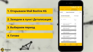 Детализация по номеру легко и просто с "Мой Beeline KG"