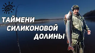 ТАЙМЕНИ СИЛИКОНОВОЙ ДОЛИНЫ. О том, как я поехал ловить тайменя. Ловлю рыбу. Живу в палатке