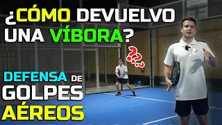 TIPS to MASTER your Aerial Shot DEFENSE 🛡️ Adan Ponce | Alto Padel 🥎