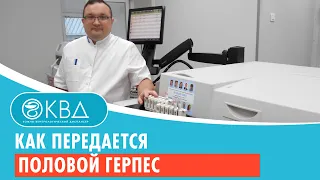 Как передается половой герпес