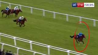 IMPRESSIVE! Hidden Law bolts up at Newbury!