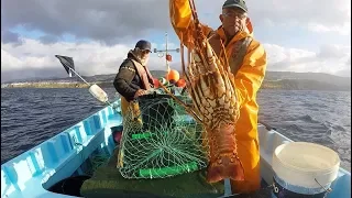 Fishing Lobster / Pesca de lagosta, Pesca de la langosta,  ロブスター釣り 龍蝦釣魚     صيد سرطان