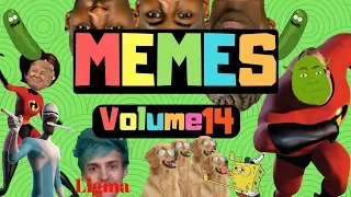 Best dank memes compilation vol14 (Reuploaded)