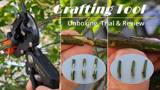 Does Grafting Tool Really Work? | Grafting Tool Unboxing, Cutting Trial and Review (植物嫁接必备工具)